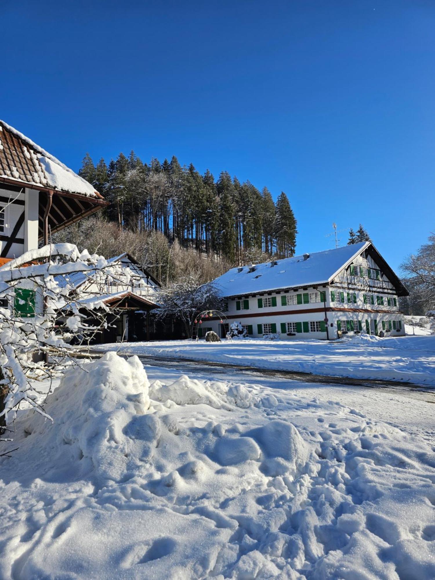 Allgaeu Residenz Natur & Spa Gmbh Wiggensbach Экстерьер фото